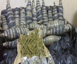   مصر اليوم - القبض على سائق وفتاة بحوزتهما مخدّرات في سفاجا