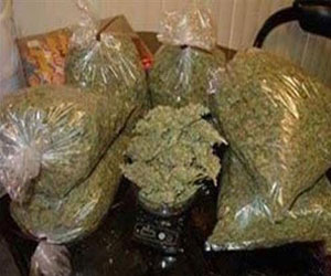   مصر اليوم - القبض على 2 من العناصر الإجرامية المروجة  للمخدرات في الإسماعيلية