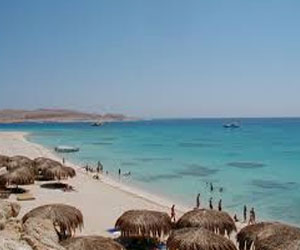   مصر اليوم - رئيس مدينة مرسى علم يلتقي شباب أصدقاء البيئة