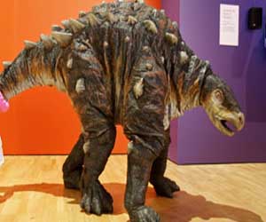   مصر اليوم - العثور على آثار أقدام يعتقد أنها لـديناصورات بأغادير المغربية