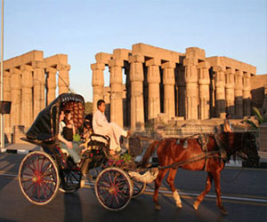 مصر اليوم - السِّياحة تُدعِّم محافظة أسوان بمليون جنيه لمواجهة الرُّكود الاقتصادي