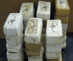   مصر اليوم - ضبط شحنة هيروين كبرى مخبأة فى علب الصلصة فى هولندا