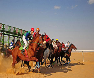   مصر اليوم - فروسية القصيم تقيم الخميس سباقها الخامس عشر