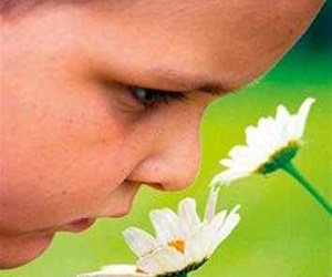   مصر اليوم - 30% من حاسة الشم تختلف من شخص إلى آخر