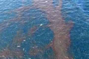   مصر اليوم - وزيرة البيئة متابعة بقعة سولار الأقصر والتأكد من تشتيتها بالكامل