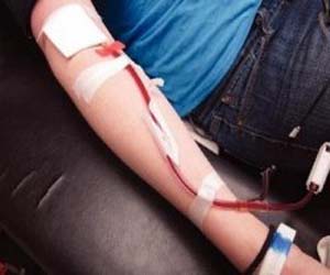   مصر اليوم - تسجيل أكثر من 460 ألف تبرع بالدم خلال سنة 2013 بالجزائر