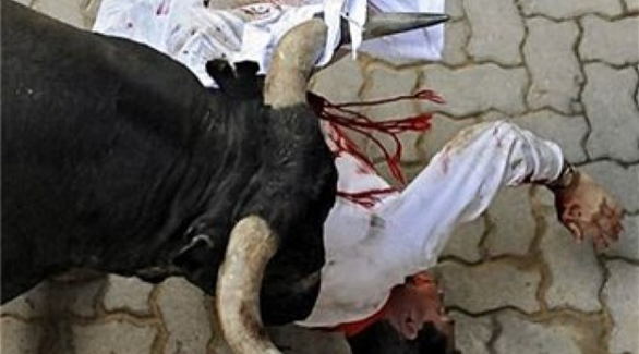   مصر اليوم - نطحة عجل تقتل سعوديًا