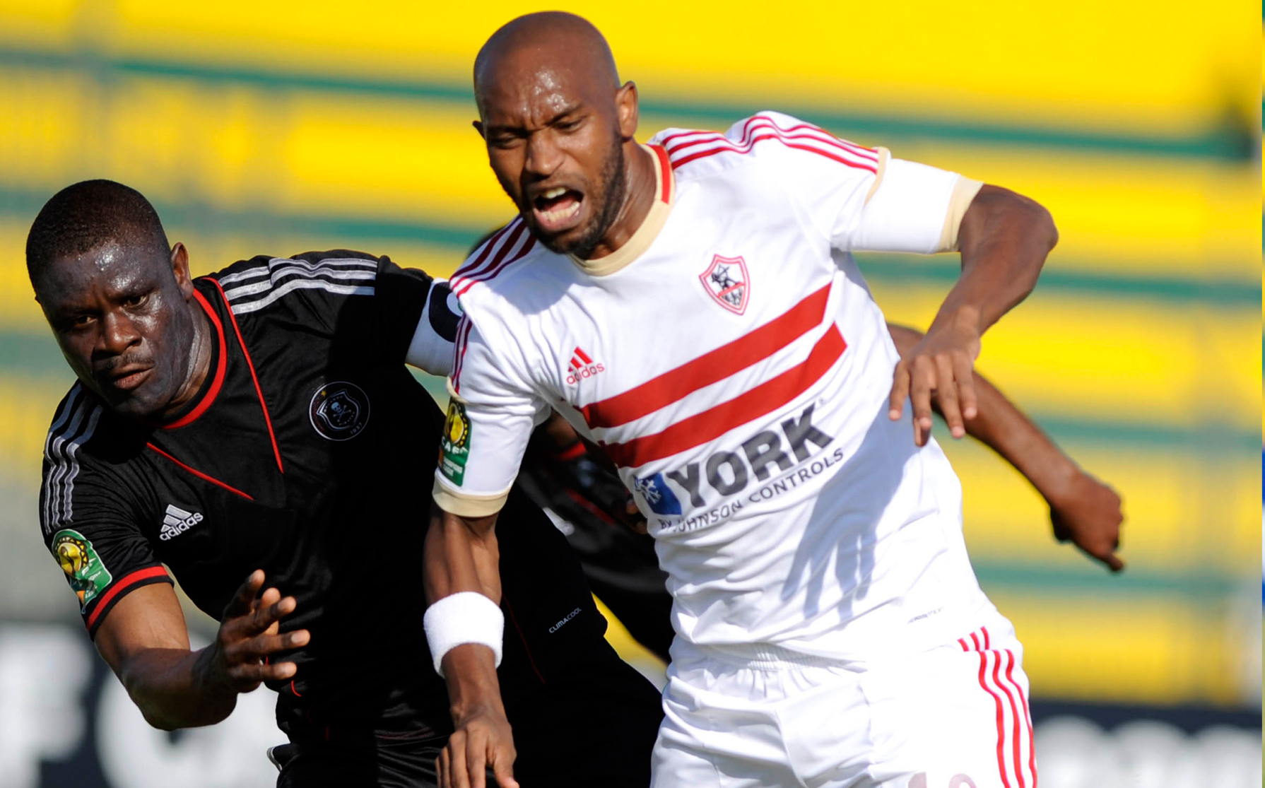   مصر اليوم - شيكابالا يقترب من أحد أندية القمة البرتغالية