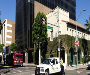   مصر اليوم - إيقاف إمرأة تتعلم قيادة السيارة برفقة ببغاء بدلًا من سائق مؤهل