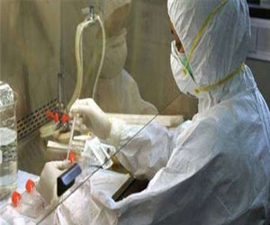   مصر اليوم - وكيل وزارة الصحة في الشرقية ينفي ظهور إصابات أنفلونزا الطيور