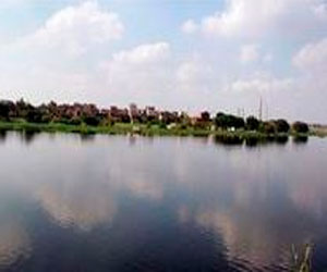   مصر اليوم - الري تزيل تعديات أسفل كوبري المنيب وانقاذ أراضي