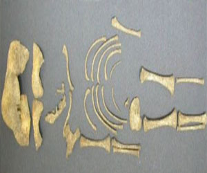 مصر اليوم - أدلّة تدحض وأد البنات عند الرومان لصالح الذكور