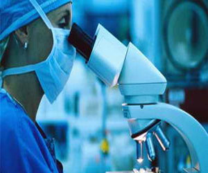   مصر اليوم - دراسة: سم تفرزه بكتيريا غذائية يسبب مرض التصلب المتعدد