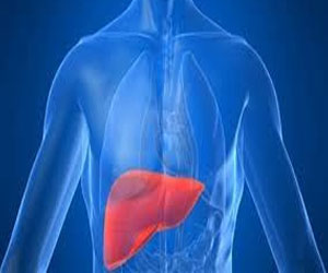   مصر اليوم - خبراء ومتخصصون في ندوة حول فيروس سي