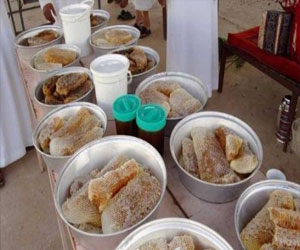   مصر اليوم - 20 أسرة تعرض مهاراتها في مهرجان العسل في المجاردة