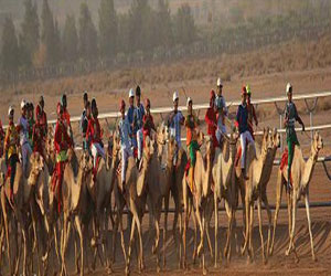 مصر اليوم - أمير منطقة القصيم يتوج الفائزين بسباقات الهجن الأثنين