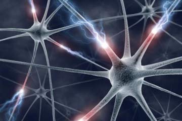   مصر اليوم - قراءة الروايات المؤثرة تعيد نشاط المخ وتنعش الخلايا العصبية