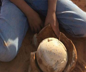   مصر اليوم - بيضة مغلفة بحجر تثير الحيرة في السعودية