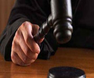   مصر اليوم - الحكم على عصابة سرقة بيض الطيور النادرة فى السويد