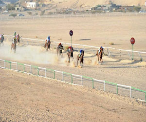 مصر اليوم - فروسية نجران تقيم حفل سباقها السنوي الـ 18