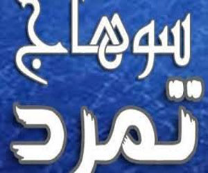   مصر اليوم - تمرد سوهاج تطالب بعودة رئيس تموين أخميم إلى عمله