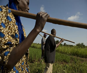   مصر اليوم - الفاو ترحب بالتزام الدول الإفريقية بالقضاء على الجوع