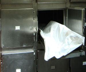   مصر اليوم - وفاة عائلة في إسبانيا بعد إستنشاق مبيد فوسفيد الألمونيوم