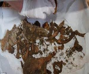   مصر اليوم - العظام التى عثر عليها فى كاتدرائية ألمانية تعود للإمبراطور شارلمان