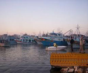   مصر اليوم - الصيد يتوقف في دمياط إثر الأمطارالغزيرة