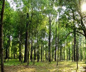   مصر اليوم - الشباب تنفّذ الملتقى البيئي الثالث في الإسكندرية