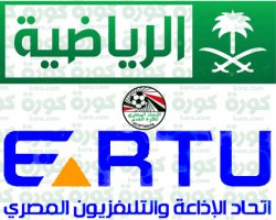   مصر اليوم - الرياضية السعودية تشتري حقوق الدوري المصري مقابل مليون دولار