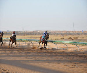   مصر اليوم - فروسية جدة تقيم سباق الخيل في دورة كأس عز الخيل