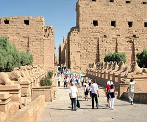   مصر اليوم - 13 مليون جنيه إيرادات المواقع الأثرية المصرية في يناير الماضي