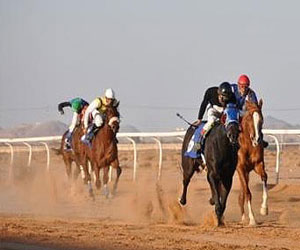   مصر اليوم - نادي الفروسية في القصيم يقيم سباقه الـ 16