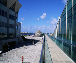   مصر اليوم - مكتبة الإسكندرية تحتفل فى 17 فبراير بافتتاح موقع الخيل العربى