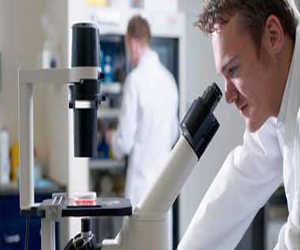   مصر اليوم - 12 ألف مريض بالسرطان فى قطاع غزة