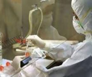   مصر اليوم - الصين تحذر من اكتشاف سلالة جديدة من فيروسات انفلونزا الطيور