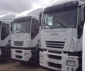   مصر اليوم - السلطات الفرنسية تدمر ثلاثة أطنان من شحنات العاج المهربة