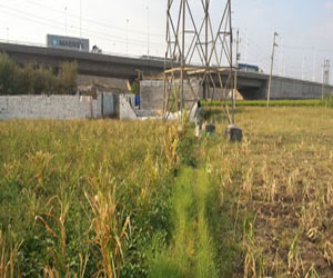   مصر اليوم - تنفيد 31 حكمًا وقرارا قضائيًاتعدي على أملاك الدولة في سوهاج