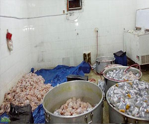   مصر اليوم - مصادرة أطعمة مجهولة المصدر في مطاعم ومطابخ في المدينة المنورة