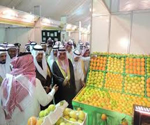   مصر اليوم -  تراحم  تشارك في مهرجان نجران للحمضيات والاستثمار الزراعي