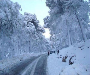   مصر اليوم - 12 قتيلًا وحوالي 1300 جريحًا في عواصف ثلجية تجتاح اليابان