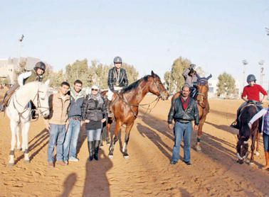   مصر اليوم - مركز عمان ينظم بطولة فروسية القفز