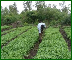   مصر اليوم - توقيع 3 اتّفاقات شراكة بين المغرب وفرنسا في القطاع الزراعي