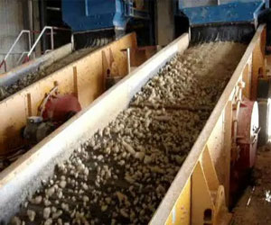   مصر اليوم - ارتفاع صادرات تونس من الفوسفات