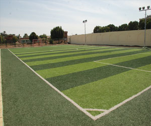   مصر اليوم - وزير الشباب يُعلن عن إنشاء 50 ملعبًا قانونيًا خلال 4 أشهر بتكلفة 123 مليونًا