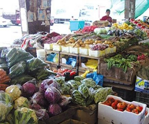   مصر اليوم - ارتفاع أسعار الخضروات رغم تشديد الرقابة علي الأسواق من الحكومة