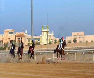   مصر اليوم - اختتام منافسات الحفل الثامن لسباقات الخيل في المدينة المنورة