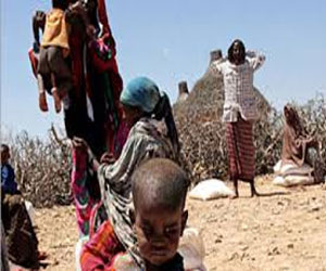   مصر اليوم - تحذير من أزمة غذاء في كينيا