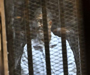   مصر اليوم - حبس صهر الرئيس المعزول و14 عنصراً منالإخوان بالشرقية